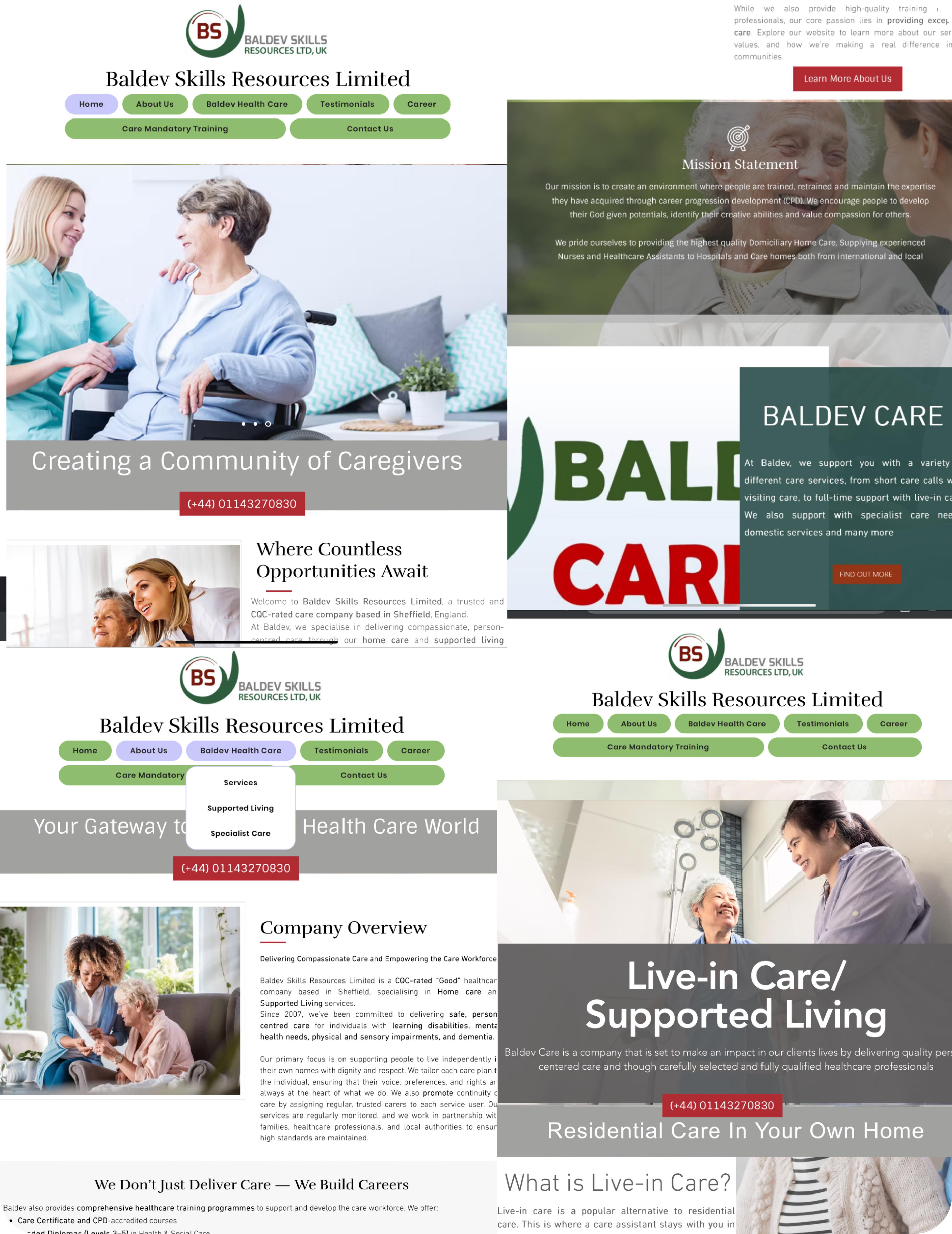 Baldev project challenge overview